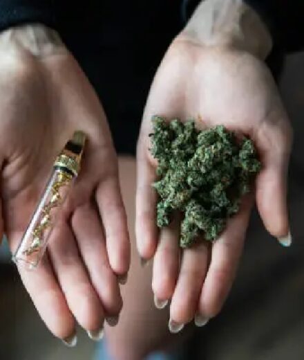 Bay Smokes: A Deep Dive into One of the Leading Names in Alternative Cannabinoids