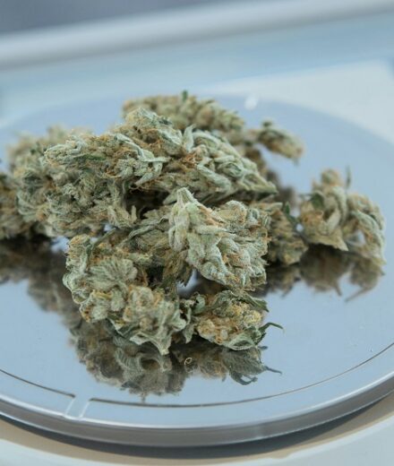 Exploring Bay Smokes Collections: A Guide to Their Most Popular Cannabinoid Lines