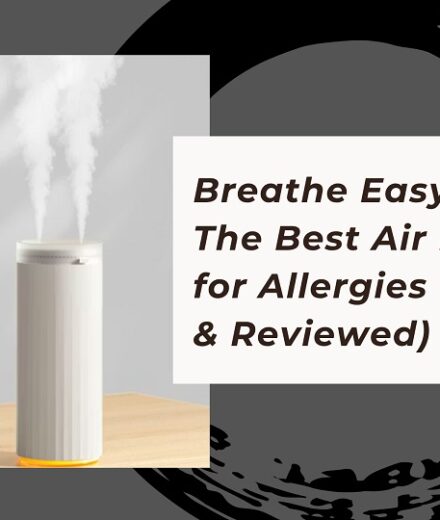 Breathe Easy in 2026: The Best Air Purifiers for Allergies (Tested & Reviewed)