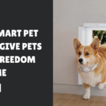 How Smart Pet Doors Give Pets More Freedom at Home
