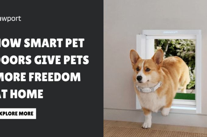 How Smart Pet Doors Give Pets More Freedom at Home