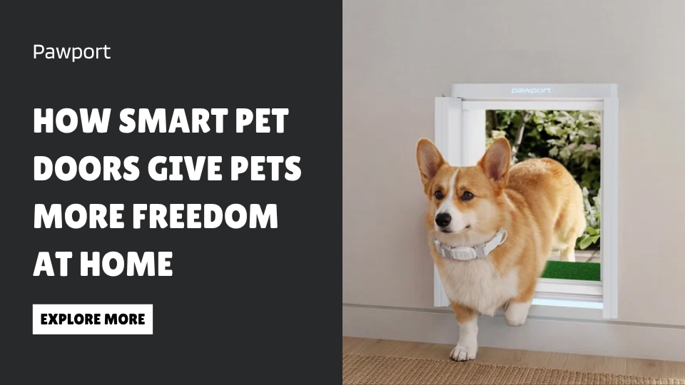 How Smart Pet Doors Give Pets More Freedom at Home
