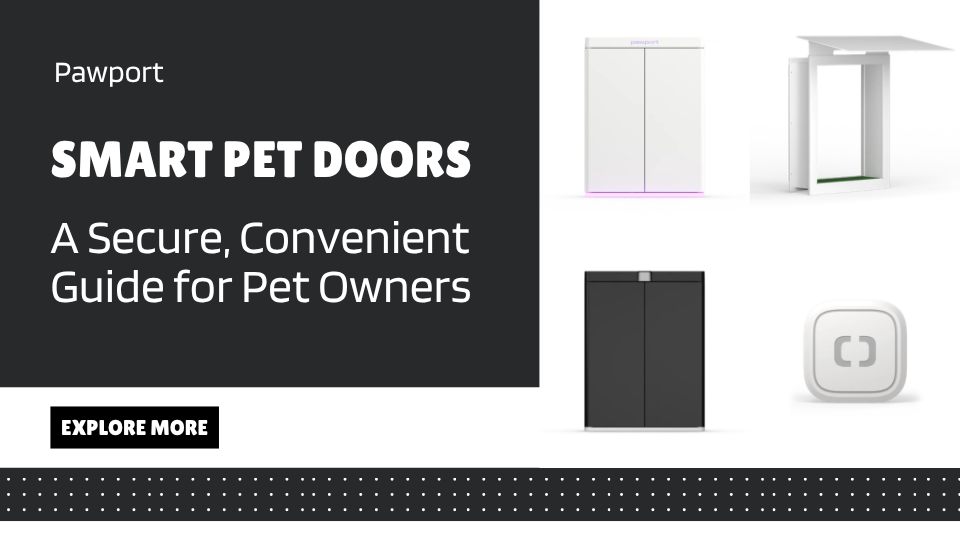 Smart Pet Doors: A Secure, Convenient Guide for Pet Owners